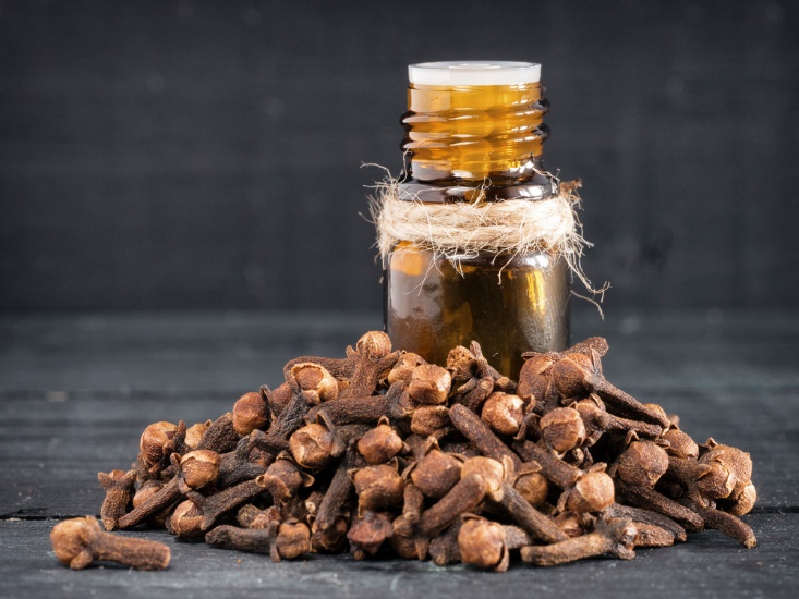 Clove Oil for Tooth Pain Relief