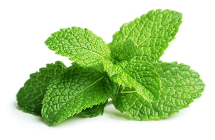 Peppermint Leaves